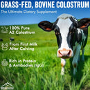 freeze-dried-a2-colostrum-powder-35-oz-bovine-grass-fed-above-40-igg-gluten-free-non-gmo-sugar-free-with-1-year-shelf-life-50-servings-dietary-supplement-immune-support-muscle-recovery-pack-of-1-3