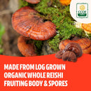 freshcap-adaptogen-bundle-reishi-capsules-and-cord-4.jpg