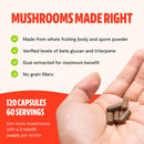 freshcap-adaptogen-bundle-reishi-capsules-and-cord-8.jpg