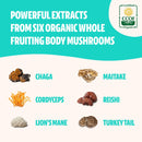 freshcap-energy-bundle-cordyceps-capsules-and-ulti-4.jpg