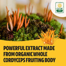 freshcap-energy-bundle-cordyceps-capsules-and-ulti-5.jpg