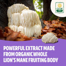 freshcap-performance-bundle-lions-mane-capsules-an-4.jpg