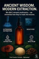fungoccino-organic-mushroom-coffee-booster-with-ch-7.jpg