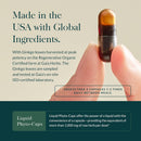 gaia-herbs-nootropic-focus---brain-cognitive-suppo-4.jpg