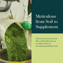 gaia-herbs-nootropic-focus---brain-cognitive-suppo-8.jpg