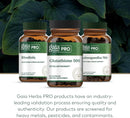 gaia-herbs-pro-glutathione-500---antioxidant-suppl-6.jpg