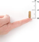 garden-of-life---raw-probiotics-ultimate-care---30-3.jpg