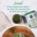 garden-of-life-organic-vegan-sport-protein-powder--7.jpg