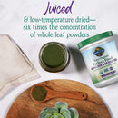 garden-of-life-raw-organic-perfect-food-alkalizer--4.jpg