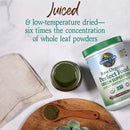 garden-of-life-raw-organic-perfect-food-green-supe-3.jpg
