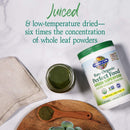 garden-of-life-super-greens-powder-smoothie-mix-wi-4.jpg