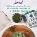 garden-of-life-vegan-green-superfood-powder---raw--3.jpg