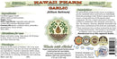 garlic-alcohol-free-liquid-extract-organic-garlic--2.jpg