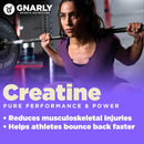 gnarly-nutrition-creatine-powder-creapure-vegan-cr-4.jpg