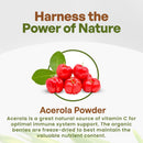 go-nutra-acerola-powder-organic-freeze-dried-18-vi-3.jpg