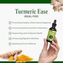 go-nutrients-turmeric-ease---organic-turmeric-supp-3.jpg