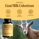 goat-milk-colostrum-grass-fed-natural-immune-system-and-gut-health-support-120-capsules-3