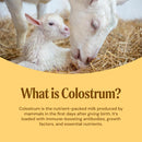 goat-milk-colostrum-grass-fed-natural-immune-system-and-gut-health-support-120-capsules-4