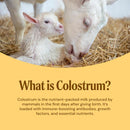 goat-milk-colostrum-powder-grass-fed-natural-immune-system-and-gut-health-support-60-grams-3