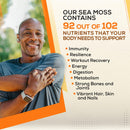 gold-sea-moss-raw-organic-makes-80oz-of-gel---100--3.jpg