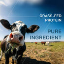 gopower-whey-protein-powder-with-bcaas-grass-fed-p-4.jpg