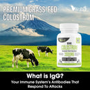 grass-fed-bovine-colostrum-capsules-for-humans---n-8.jpg