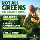 green-superfood-powder-organic-daily-greens-supple-9.jpg