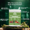greens-superfoods-powder-for-digestive-health-suga-2.jpg