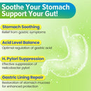 h-pylori-defense-probiotics-100-billion-cfu---lact-3.jpg
