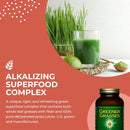 healthforce-superfoods-greener-grasses---10-oz-pow-4.jpg