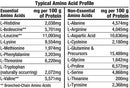 healthy-n-fit-100-whey-pro-amino-v20-chocolate-2lb-4.jpg