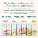healthynest-postnatal-4th-trimester-prenatal-vitamin-made-with-methylated-folate-choline-dha-iron-31-day-supply-5
