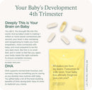 healthynest-postnatal-4th-trimester-prenatal-vitamin-made-with-methylated-folate-choline-dha-iron-31-day-supply-7