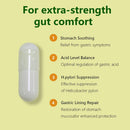 helicobacter-pylori-defense-probiotics-formulated--5.jpg