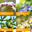 herb-pharm-relaxing-sleep-herbal-formula-with-valerian-extract---1-ounce-6