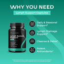 herbal-lymph-system-support-supplement---lymphatic-support-complex-with-echinacea-goldenseal-astragalus-hydroxytyrosol-for-lymphatic-drainage-immune-support---vegan-non-gmo-gluten-free-1-month-2