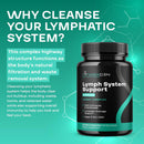 herbal-lymph-system-support-supplement---lymphatic-support-complex-with-echinacea-goldenseal-astragalus-hydroxytyrosol-for-lymphatic-drainage-immune-support---vegan-non-gmo-gluten-free-1-month-3