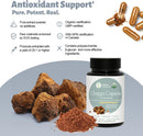 herbal-treasure-chaga-mushrooms-powder-capsules-mu-2.jpg