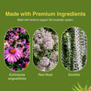 herbs-etc-lymphatonic-sg-60-ct-3