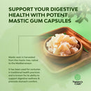 high-strength-mastic-gum-capsules---herbal-digesti-3.jpg
