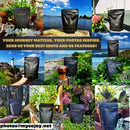 higher-self-mushroom-coffee-ultimate-focus-immune--8.jpg