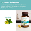 himalaya-berberine-for-balanced-support-digestion--6.jpg