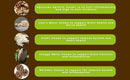 hongo-mushroom-power---mushroom-complex-powder---l-5.jpg