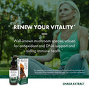 host-defense-chaga-extract---immune-system-support-3.jpg