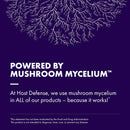 host-defense-mushrooms-lions-mane-extract---lions--6.jpg