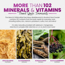 irish-sea-moss-gummies-with-elderberry-black-seed--6.jpg
