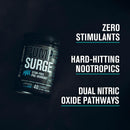 jacked-factory-pumpsurge-max-stim-free-pre-workout-6.jpg