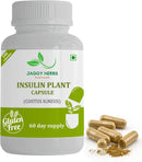 jaggy-premium-insulin-plant-capsules-costus-igneus-natural-supplement-240-veggie-capsules-60-day-supply-insulin-plant-1