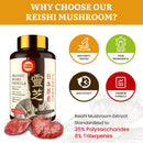 japanese-reishi-mushroom-supplement-800mg-with-rei-3.jpg