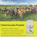 kids-grass-fed-colostrum-and-propolis-pack-new-zea-8.jpg